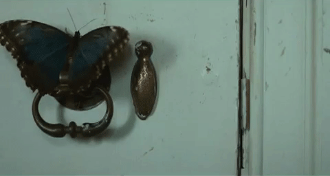 GIF animé au survol